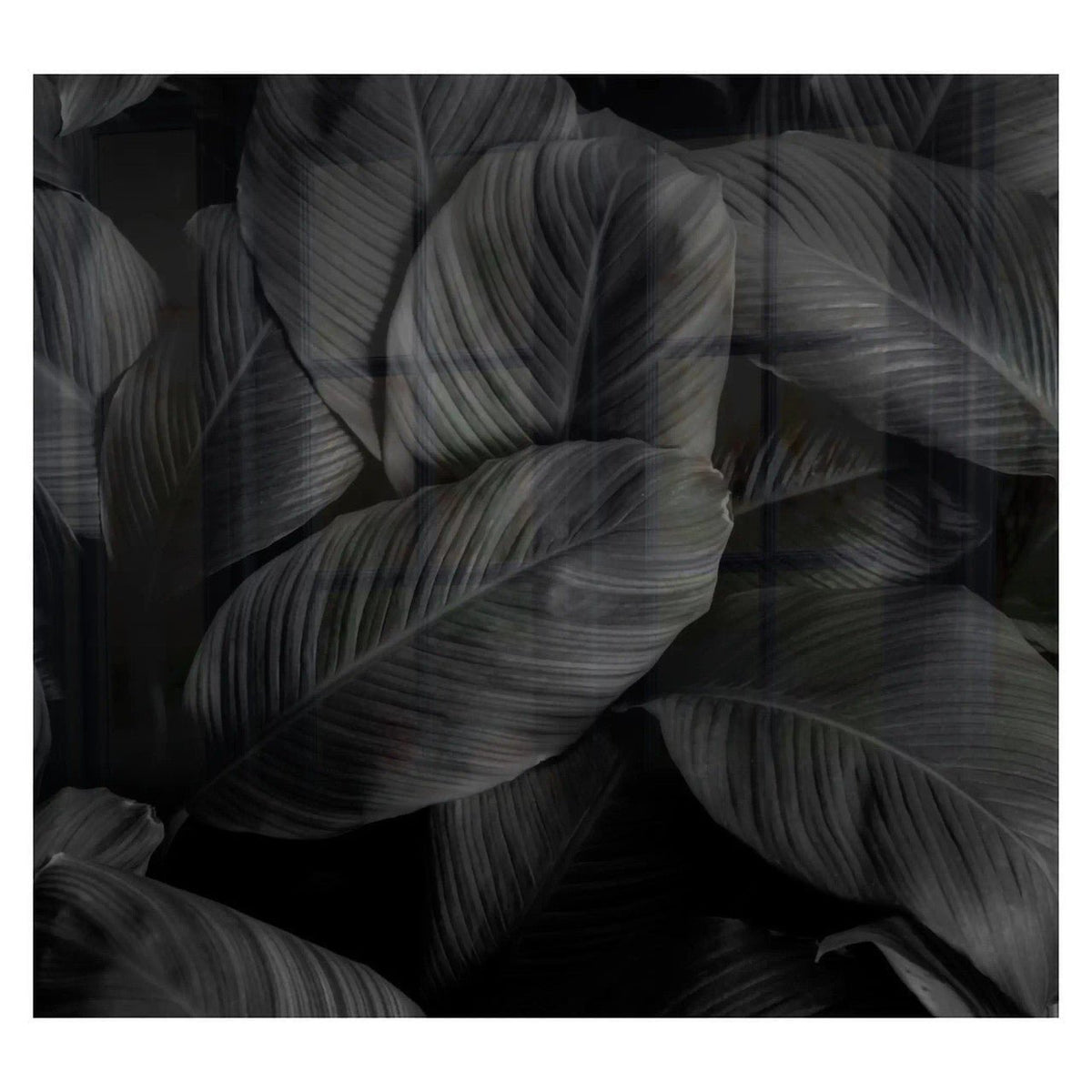 Decorative Glass Wall Tile 598MM X 650MM Feathers