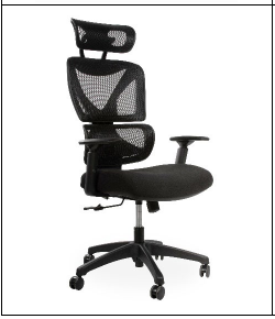 Eris Mesh High-Back Office Chair