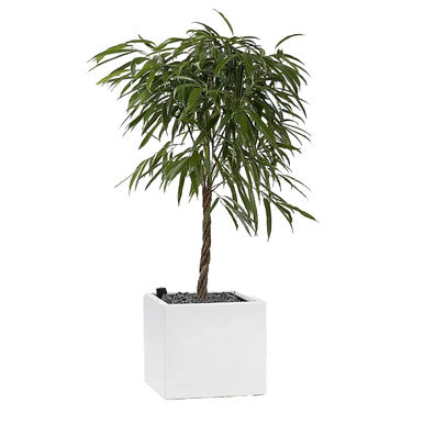 "H" Tetris Planter 1000 mm | Office Accessories | Office Stock