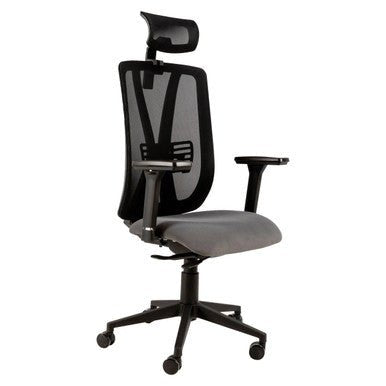 Kite Mesh High-Back Office Chair