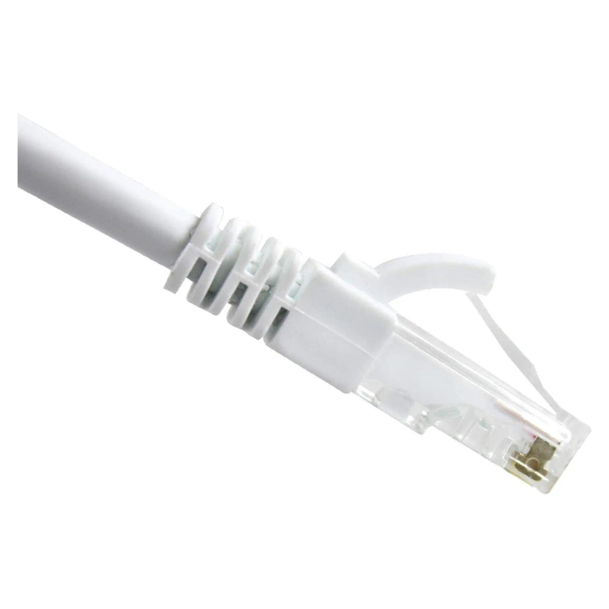 Network Cable (Cat 6 - 2 Meters)