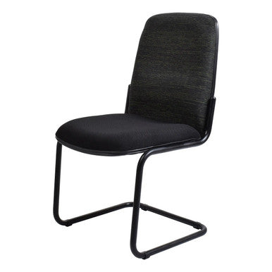 Paula Side Conference Chair