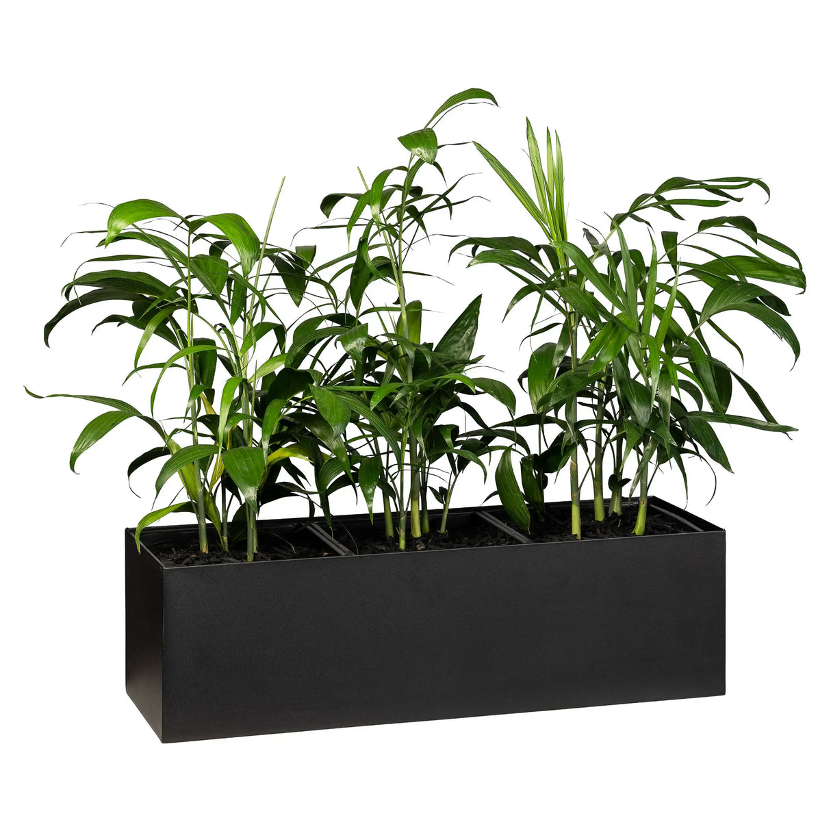 Cabinet Trough Planter Small