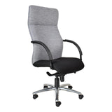 170kg Heavy Duty High-Back Office Chair