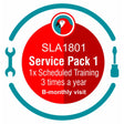 3 Month Interactive Training SLA