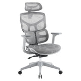 Jankz Body Balance Mesh High-Back Office Chair