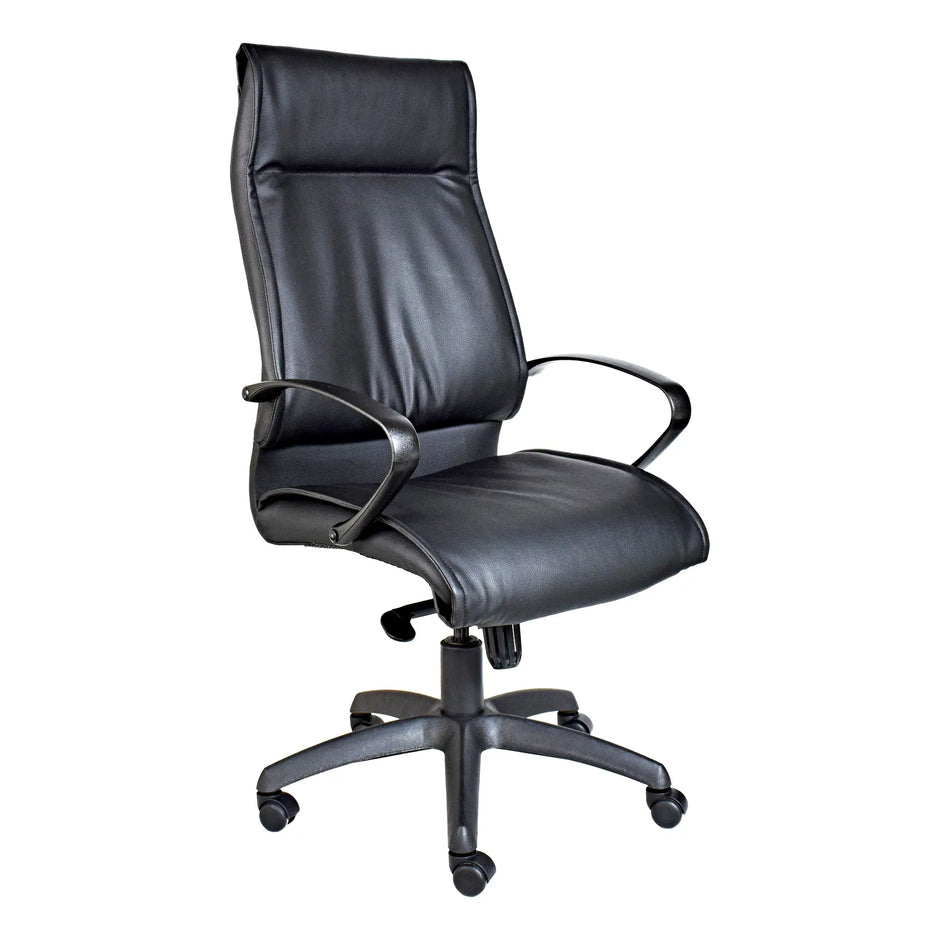 Ameira Knee-tilt High-back Office Chair