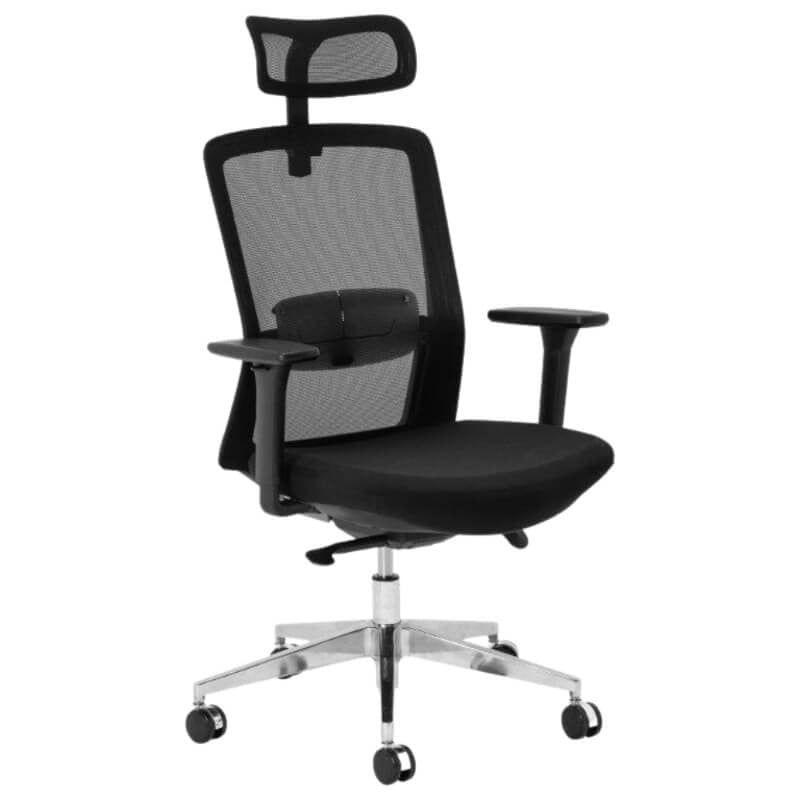 Aila Ergo Theraphy High-back Chair