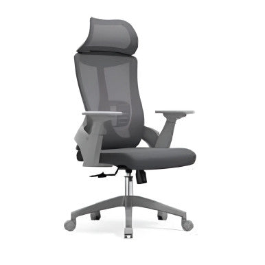 Grey Ergonomic Office Chair with High-back and Adjustable Headrest, Featuring Breathable Mesh Material and Sturdy Grey Frame, on Five-Star Base with Casters, by Brand 67, Showcasing a Sleek and Modern Design for Comfortable Seating.