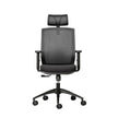 Elara Ergonomic Office Chair