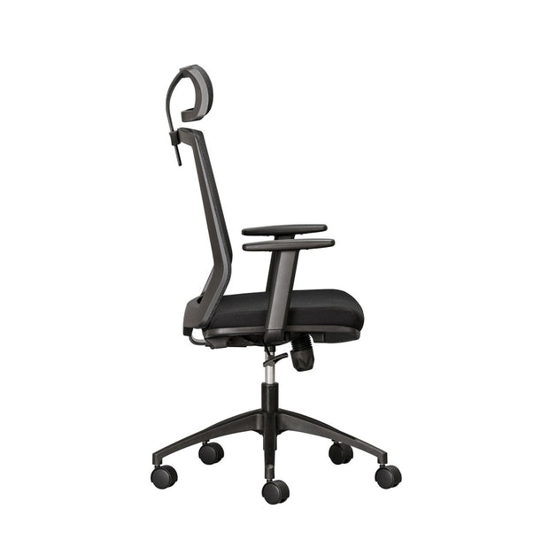 Elara Ergonomic Office Chair