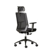 Elara Ergonomic Office Chair