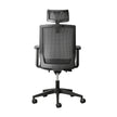 Elara Ergonomic Office Chair