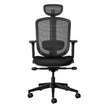 ErgoCurve Ergonomic Office Chair Ergonomic Chair [Office Stock]