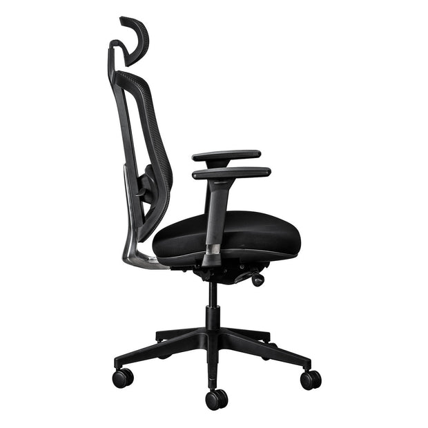 ErgoCurve Ergonomic Office Chair