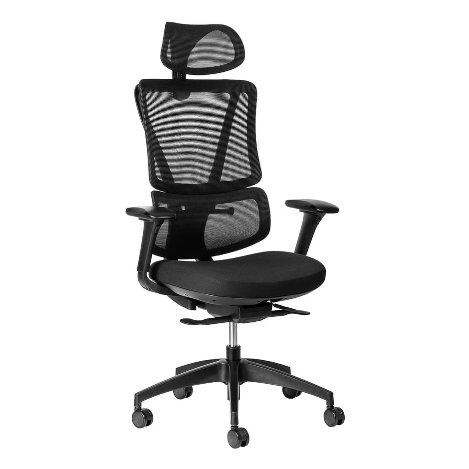 ErgoBack Ergonomic Office Chair Ergonomic Chair [Office Stock]