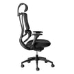 ErgoBack Ergonomic Office Chair Ergonomic Chair [Office Stock]