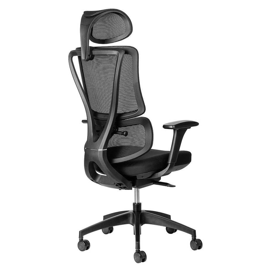 ErgoBack Ergonomic Office Chair Ergonomic Chair [Office Stock]