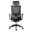 ErgoBack Ergonomic Office Chair Ergonomic Chair [Office Stock]