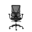 ErgoBack Ergonomic Office Chair Ergonomic Chair [Office Stock]