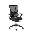 ErgoBack Ergonomic Office Chair Ergonomic Chair [Office Stock]