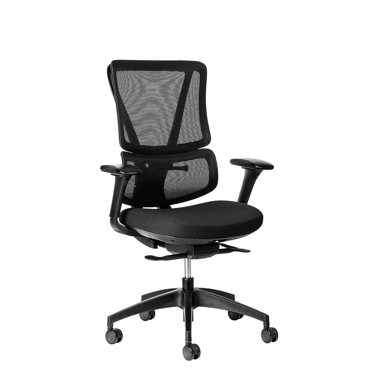 ErgoBack Ergonomic Office Chair Ergonomic Chair [Office Stock]