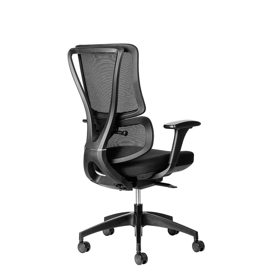 ErgoBack Ergonomic Office Chair Ergonomic Chair [Office Stock]