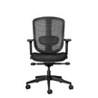 ErgoCurve Ergonomic Office Chair Ergonomic Chair [Office Stock]