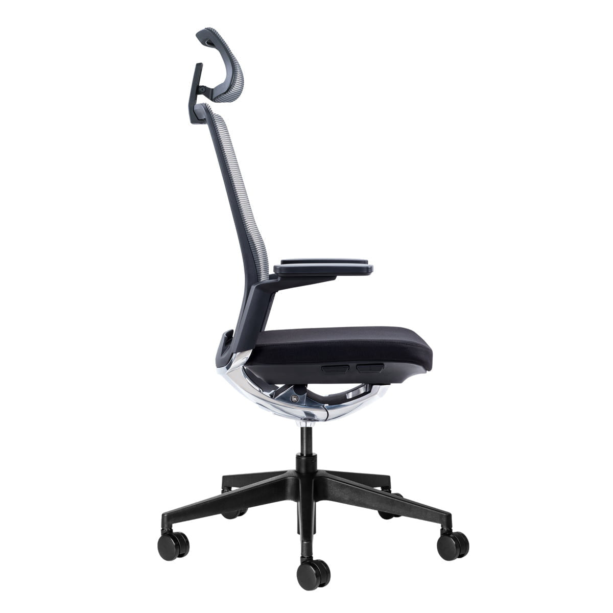 Evolv Ergonomic Office Chair Office Chair [Office Stock]