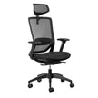 Fenix Ergonomic Office Chair Ergonomic Chair [Office Stock]