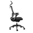 Fenix Ergonomic Office Chair Ergonomic Chair [Office Stock]