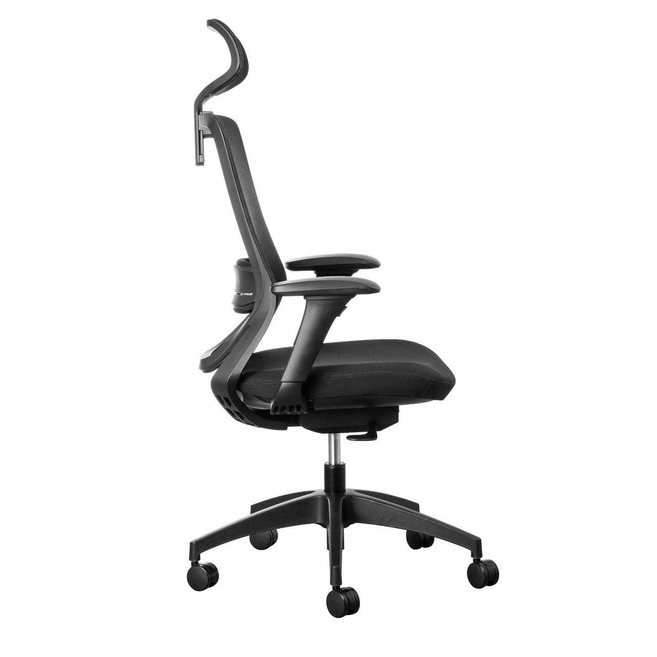 Fenix Ergonomic Office Chair Ergonomic Chair [Office Stock]