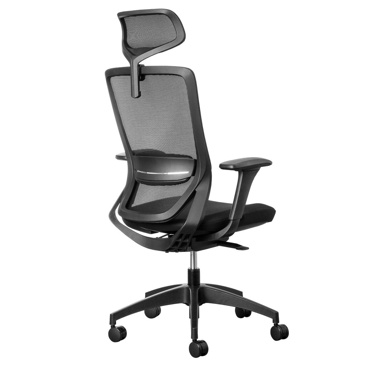 Fenix Ergonomic Office Chair Ergonomic Chair [Office Stock]