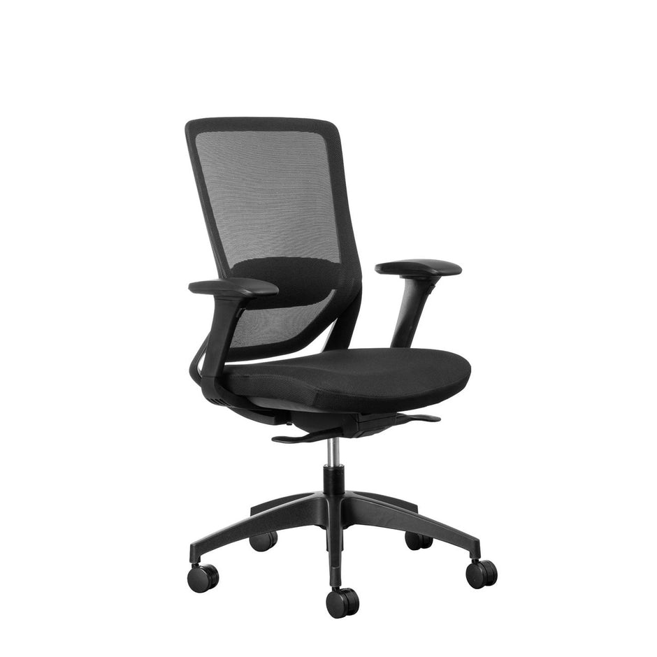 Fenix Ergonomic Office Chair Ergonomic Chair [Office Stock]