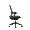 Fenix Ergonomic Office Chair Ergonomic Chair [Office Stock]