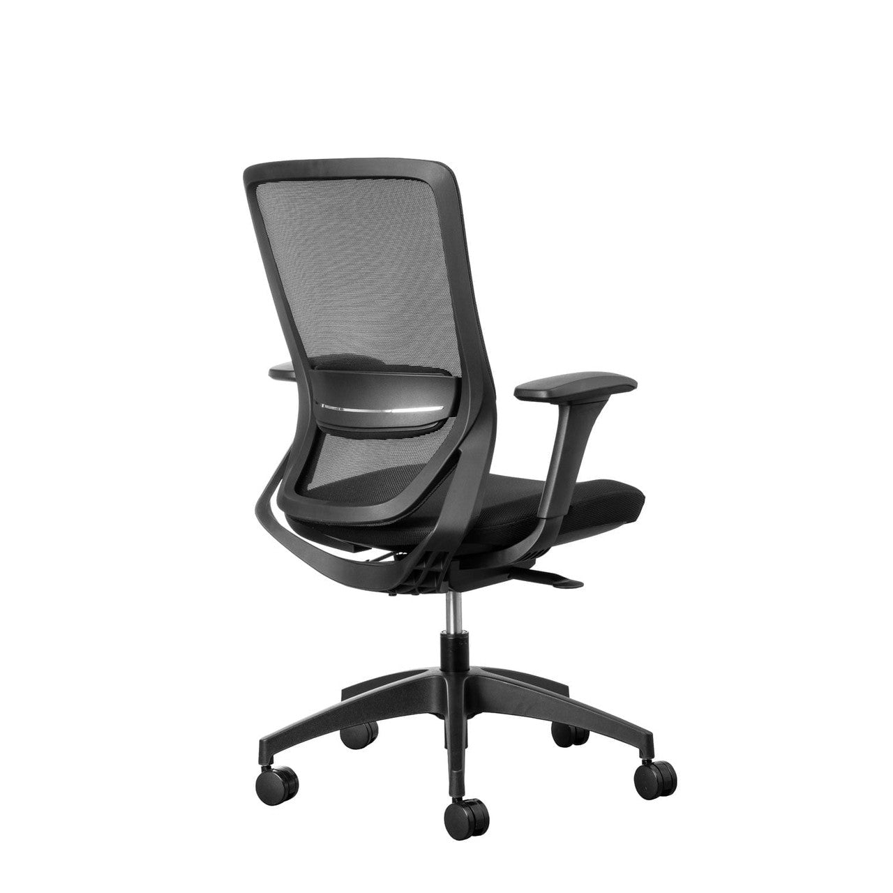 Fenix Ergonomic Office Chair Ergonomic Chair [Office Stock]