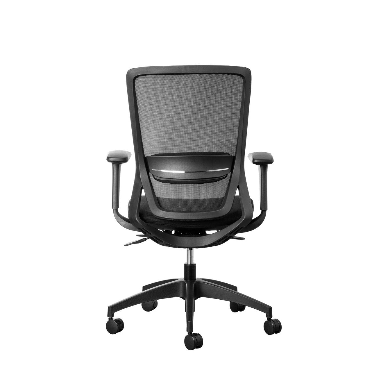 Fenix Ergonomic Office Chair Ergonomic Chair [Office Stock]