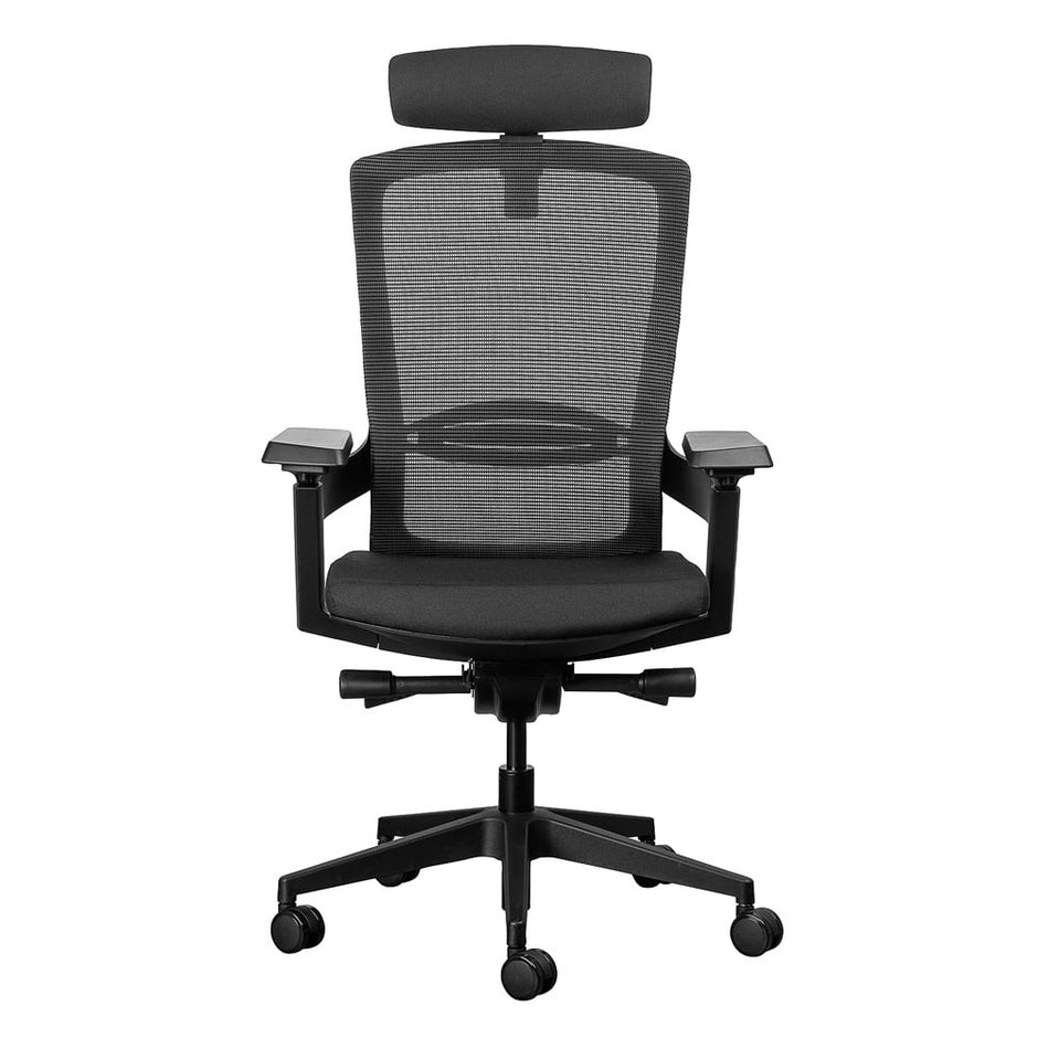 Firefly Ergonomic Office Chair Ergonomic Chair [Office Stock]