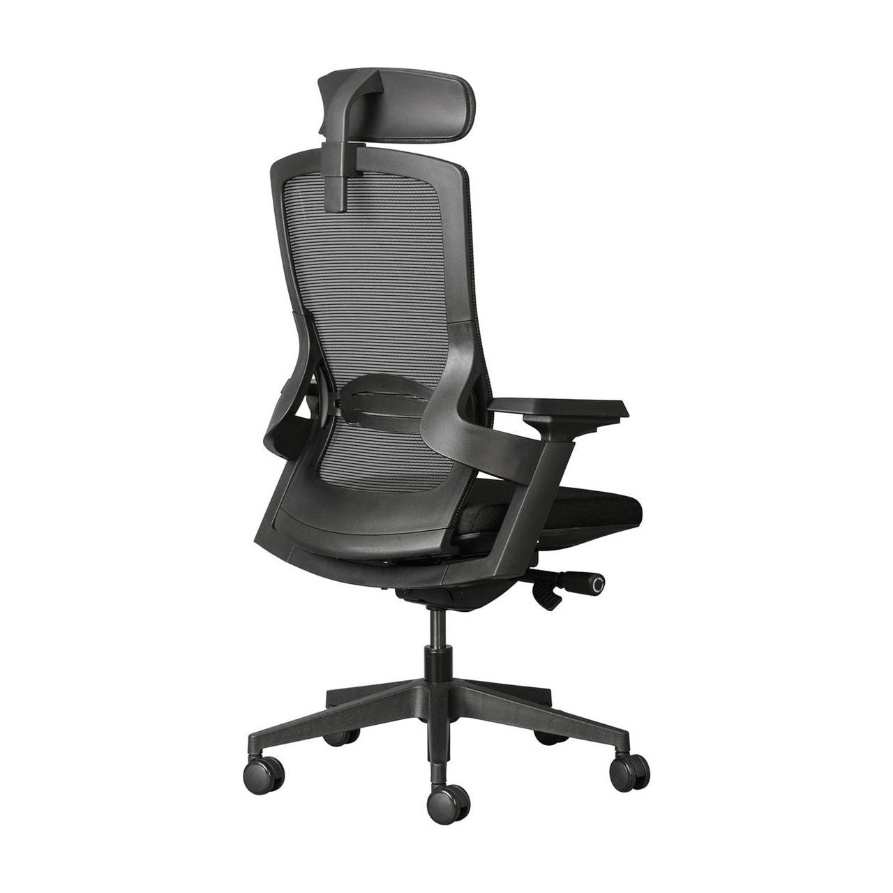 Firefly Ergonomic Office Chair Ergonomic Chair [Office Stock]