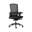 Firefly Ergonomic Office Chair Ergonomic Chair [Office Stock]