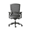 Firefly Ergonomic Office Chair Ergonomic Chair [Office Stock]