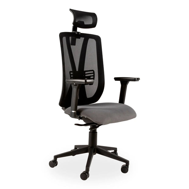 Kite Mesh High-back Office Chair High-back Office Chair [Office Stock]