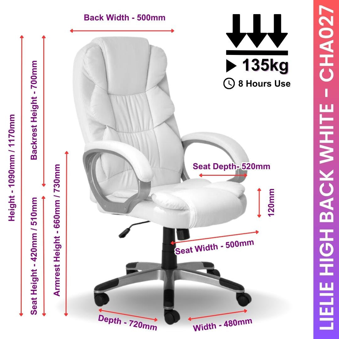 Lielie Visitors Chair Visitor Office Chair [Office Stock]