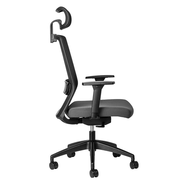 Luna Ergonomic Office Chair