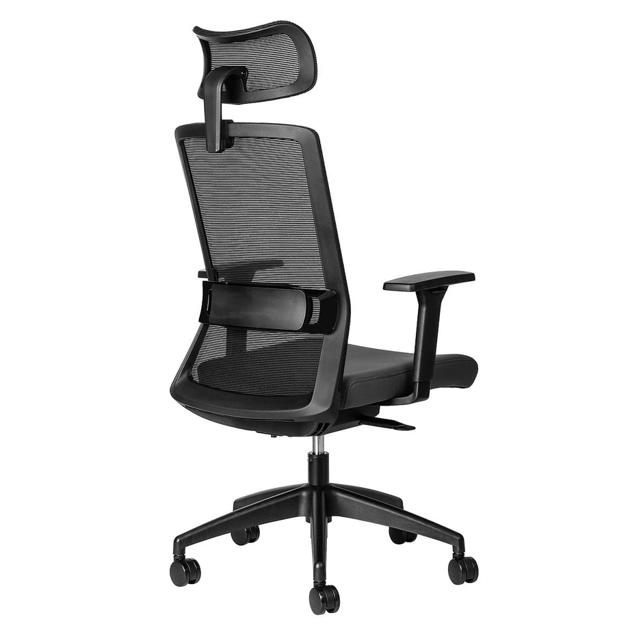 Luna Ergonomic Office Chair