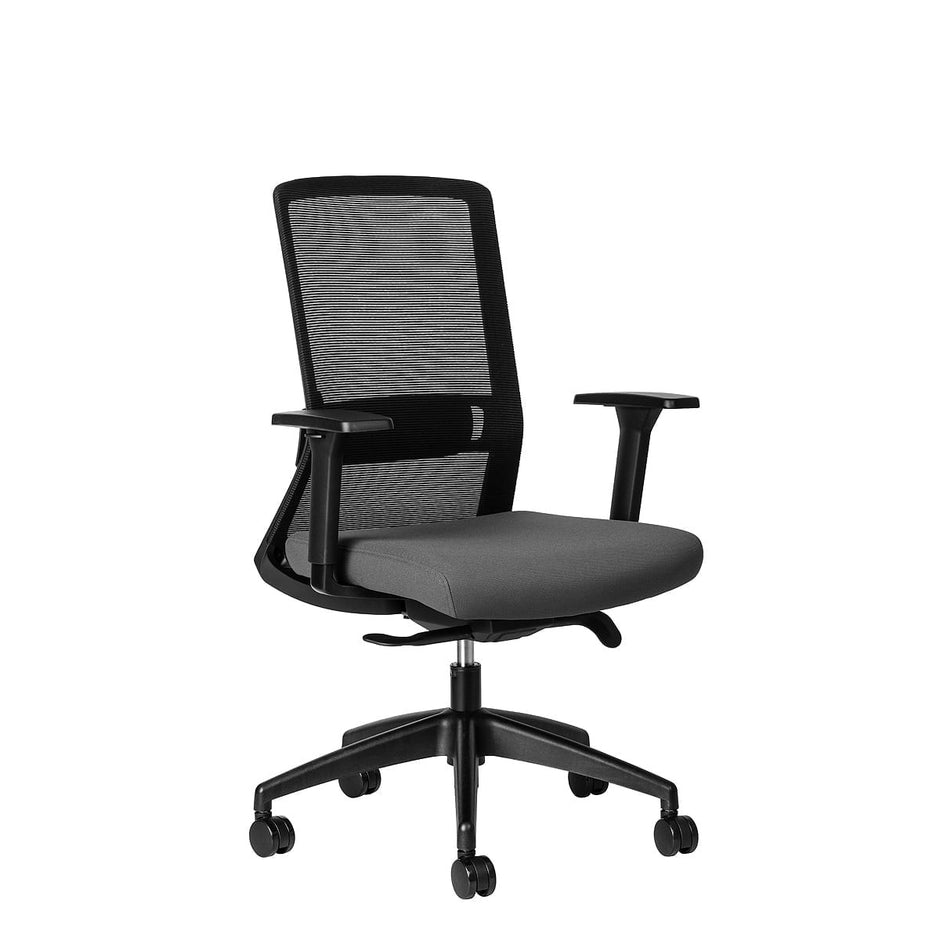 Luna Ergonomic Office Chair