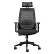 Lynx Ergonomic Office Chair Ergonomic Chair [Office Stock]