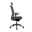 Mira Ergonomic Office Chair Ergonomic Chair [Office Stock]