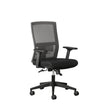 BackLogic Ergonomic Office Chair