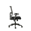 BackLogic Ergonomic Office Chair